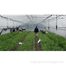 Large Plastic Agricultural Greenhouse for Vegetable